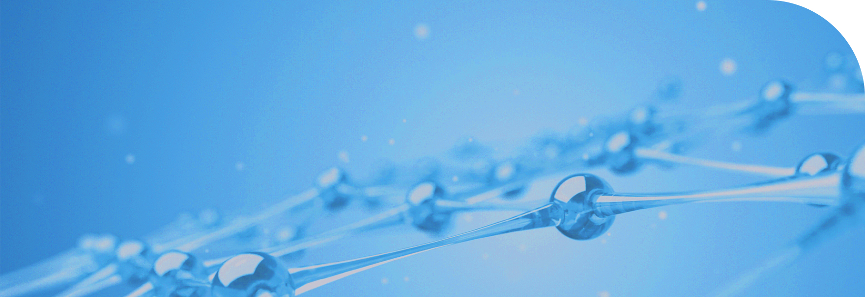 �ŵ�88(�й���)�ٷ���վ