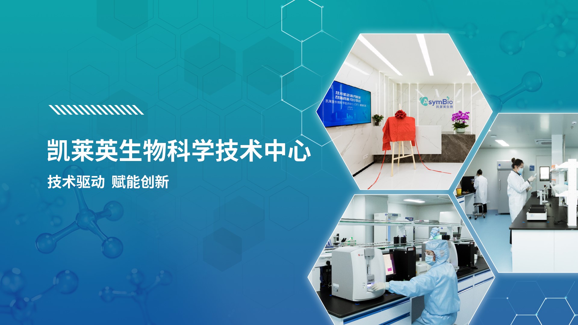 �ŵ�88(�й���)�ٷ���վ