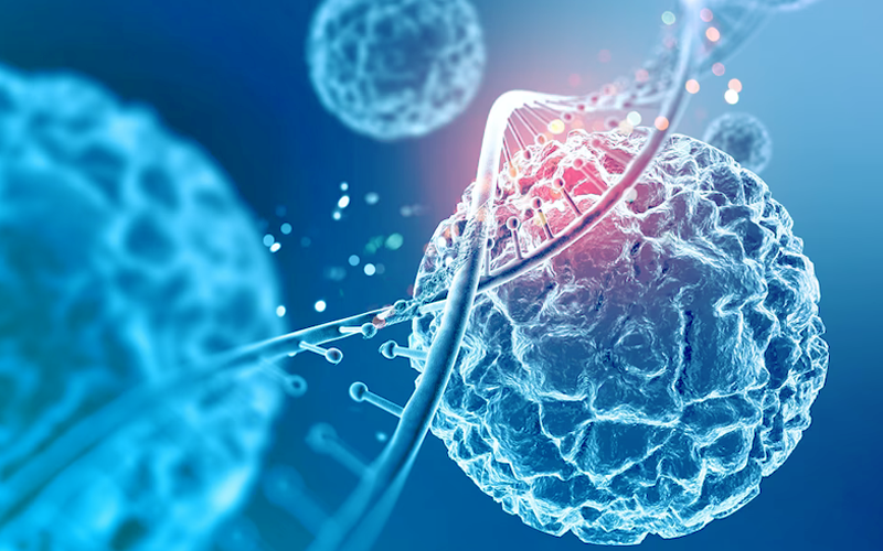 �ŵ�88(�й���)�ٷ���վ