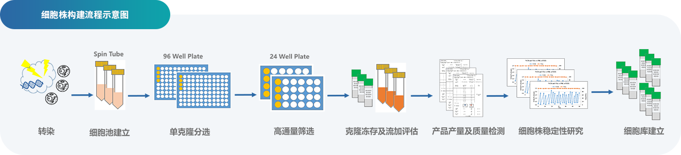 2-ϸ���깹������ .png